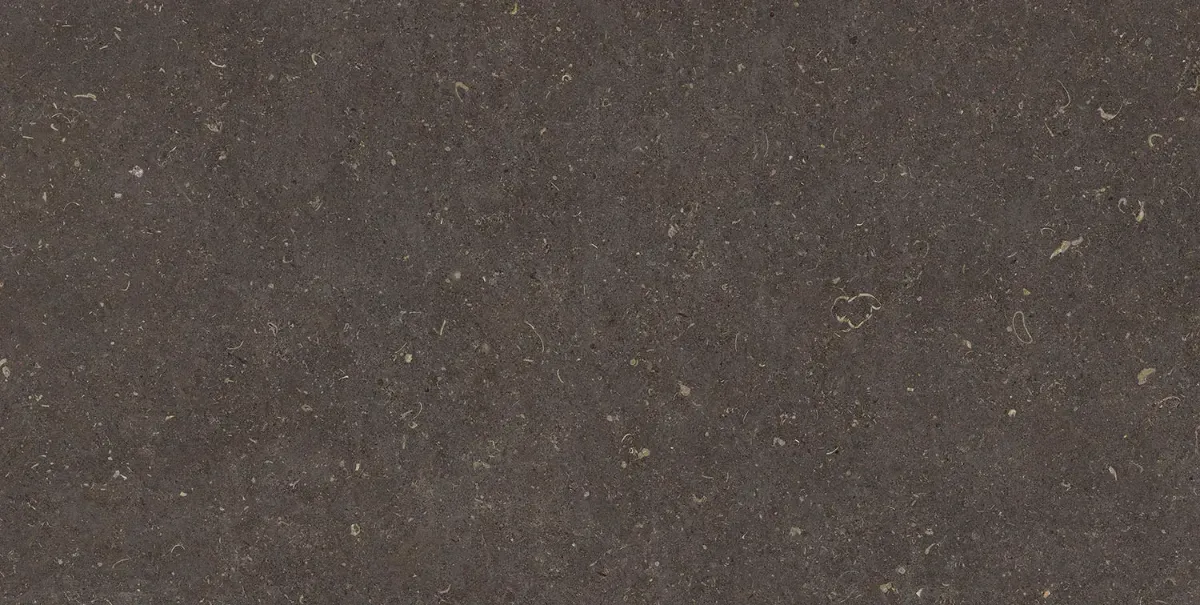 Anthracite Vincen